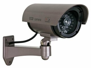 Nepcamera's