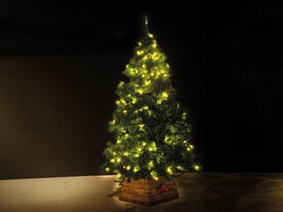Bomen