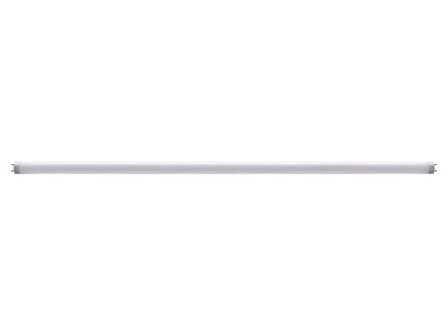 UV-LAMP-20-W-VOOR-INSECTENVERDELGER-(GIK16LAMP)