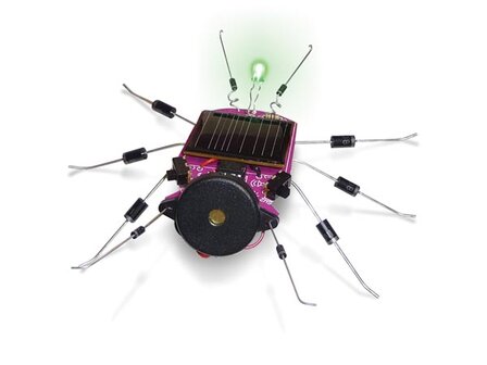 INSECT-OP-ZONNE-ENERGIE-(WSAK185)