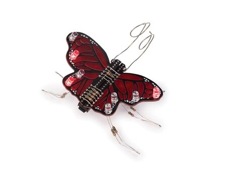 THE-MONARCH-(WSAK208)