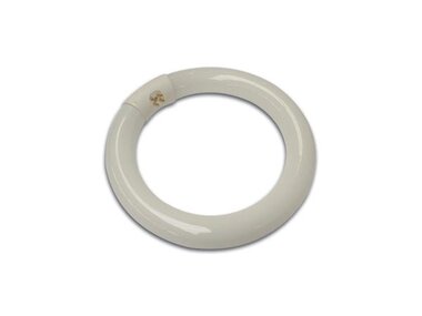 Ronde TL-buis 22W voor VTLAMP2 (LAMP22)